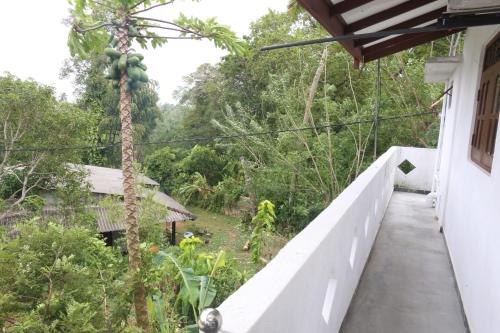 Elena Villa 7 - image 3