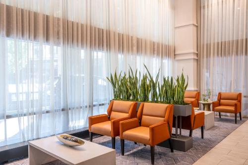 Rochester Marriott Mayo Clinic Area - image 9