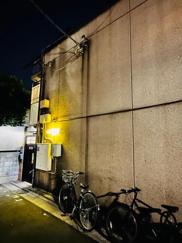 Tokyo Shinjuku East Goose Goose House