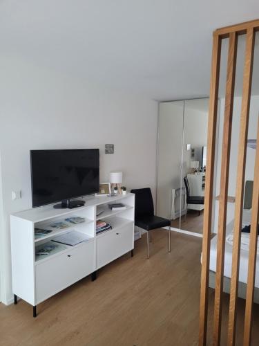 Central, newly renovated 2-room apartment, Engelberg (Foto 3)