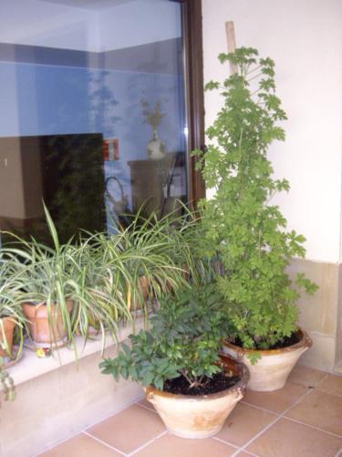 Casa Rural Rojanda - image 4