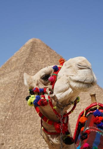 Anyma Pyramids View Inn - main image