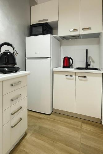 Belgrade Studio IKA Belgrade Airport Free Parking possible Self Check-In Terrace 3-Star Single Room lobby