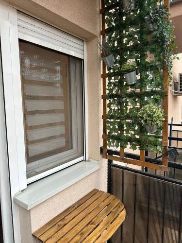 Belgrade Studio IKA Belgrade Airport Free Parking possible Self Check-In Terrace 3-Star Single Room pool