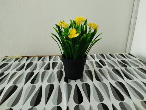 Hostel Latin Bridge in Sarajevo