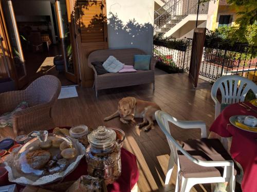 B&B Le tre chiavi - Accommodation - Isera