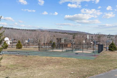 Ski In Ski Out Cabin on Hunter Mtn Seasonal Pool Access w Panoramic Views Hike Swim Fish Relax - image 8