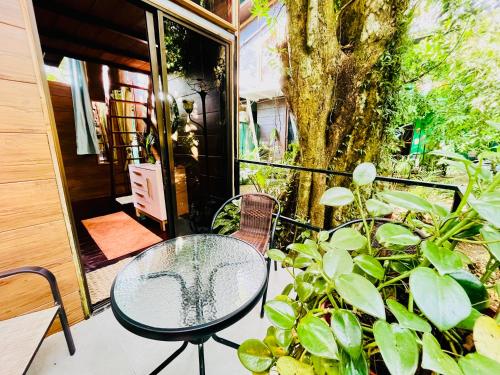 Guest House Pura Vida in Quepos