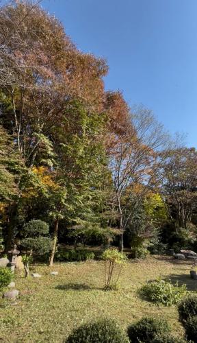 杜の宿 らくう庵 山鹿