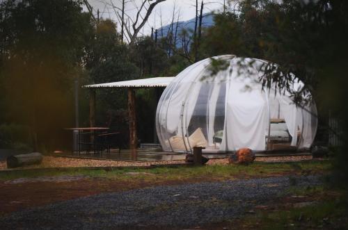 . Bubble Hotel