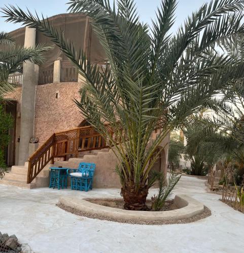 Siwa Spot - Authentic Siwan Room with Private Patio