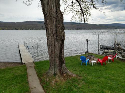 4 Seasons 4 bedroom lake level home in Honeoja (NY)