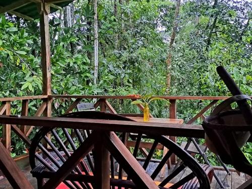 Apkārtne, Casa Cacao in El Empalme