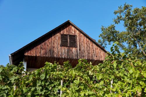 Weinberg Lodge - Kellerstöckl