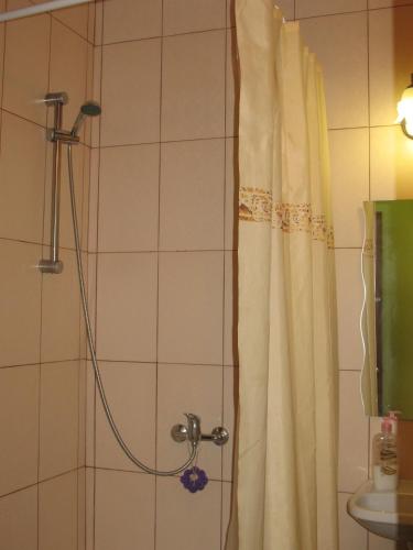 Apartment room in Flat on Sheptytskykh