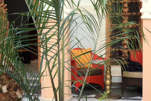78545378 Riad Siwan