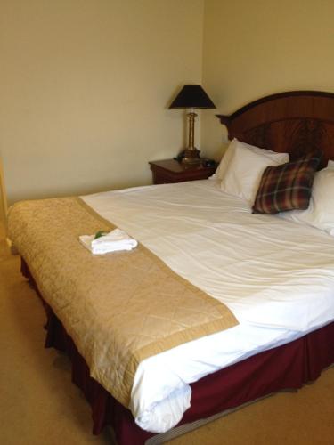 The Olde Windmill Inn - image 11
