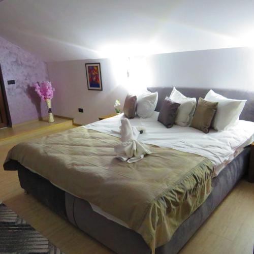 Casa Alex