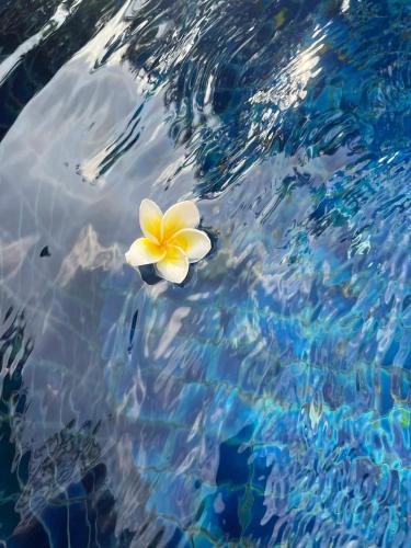 Tropical Village Resort – Ko Samui, UT