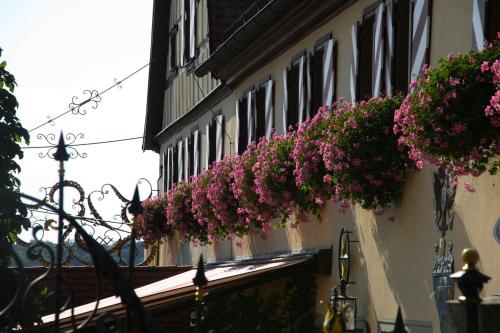 Hotel Brauereigasthof Landwehr-Bräu