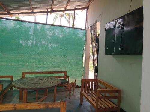 apollo bed and breakfast in Sadani