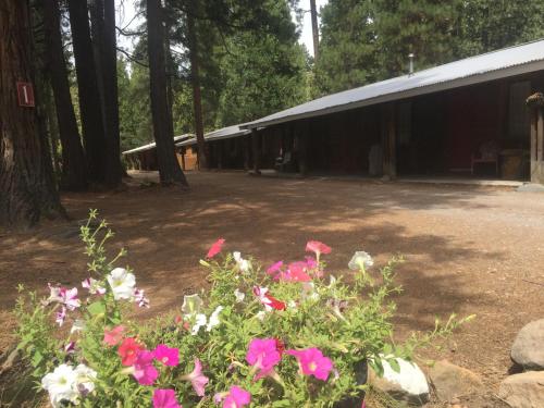 Sierra Sky Lodge - image 8
