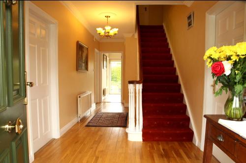 Facilities, Brooklodge Bed and Breakfast in Deerpark East