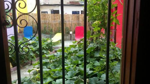 View, Hospedaje La Rana in Flores