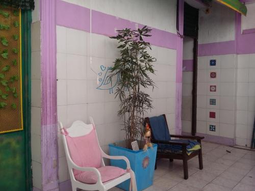 Facilities, Hospedaje La Rana in Flores