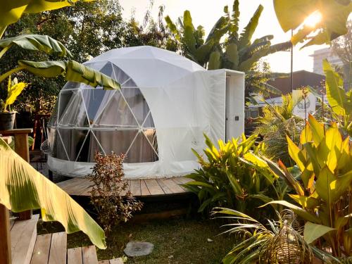 Domea Thakhek - Urban Glamping in Thakhek