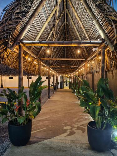ล็อบบี้, Bahia Selvatica Lodge in อูบิตา