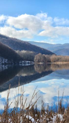 Little River Guest House - image 14