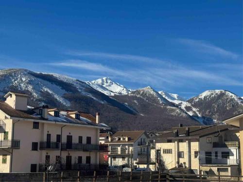 Piccola Marmotta in Ovindoli