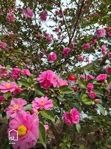 ist villa 07 Hilltop Lookout Sleeps 7