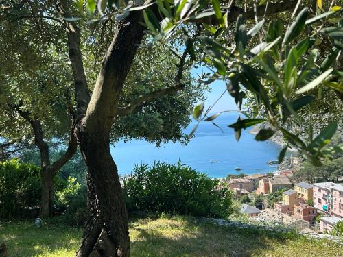 Villa Renata - amazing sea view garden terrrace