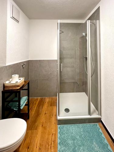 浴室, Wohlfühlwohnung mit Dachterrasse (Wohlfuhlwohnung mit Dachterrasse) in 多瑙艾辛根