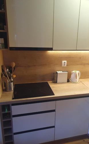 特尔乔瓦 Chata za potokom 4星级 民宿 景观