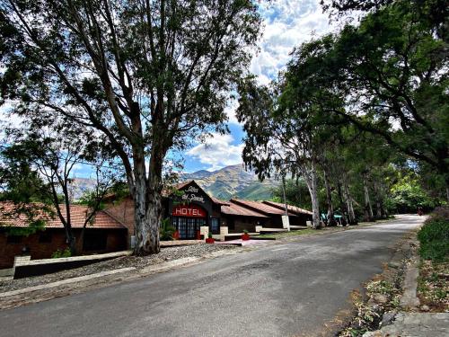 Altos del Rincón