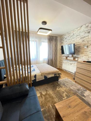 Apartment with Mountain View