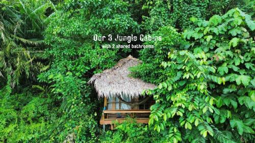 TheJungleGuide - Lodges & Treks, Bukit Lawang
