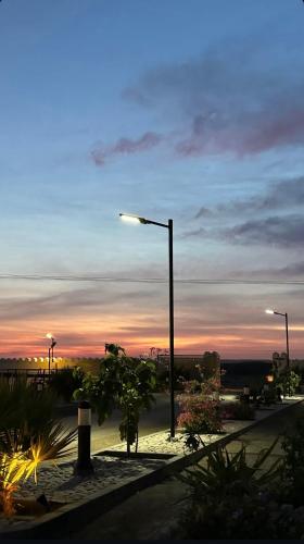 Acacia bidiyah in Al Wasil