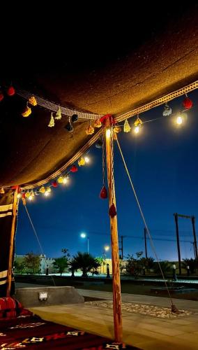 Acacia bidiyah in Al Wasil