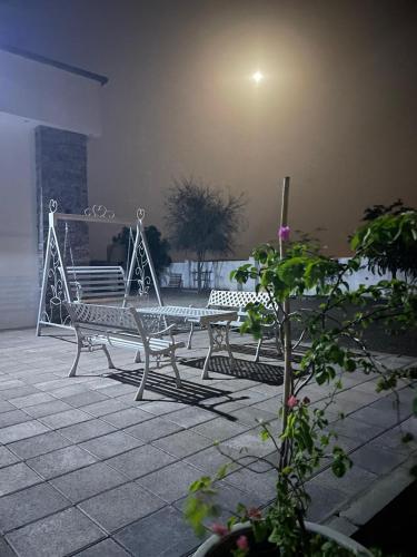 Acacia bidiyah in Al Wasil