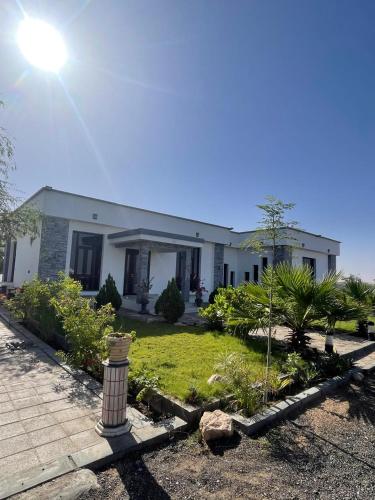 Acacia bidiyah in Al Wasil