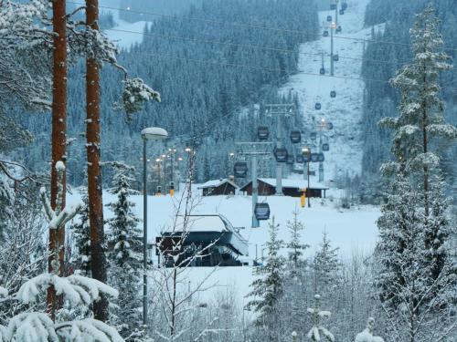 Trysil turistesenter hytte in Trysil