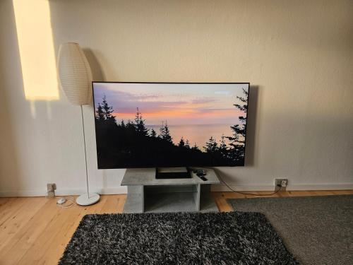 Cozy One Room Apartment in Roskilde