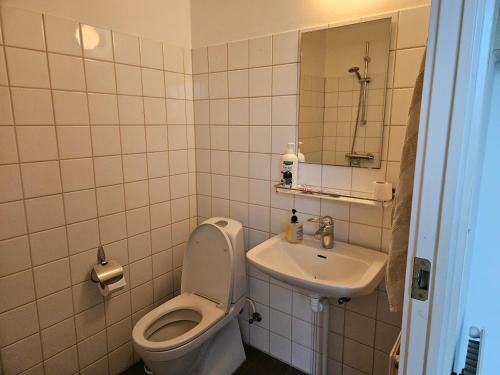 Cozy One Room Apartment in Roskilde