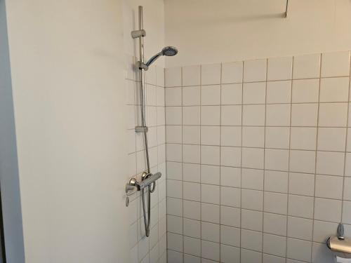 Cozy One Room Apartment in Roskilde