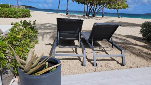 Tekila Beach, appt-condo au bord de mer a Saint-Martin SXM