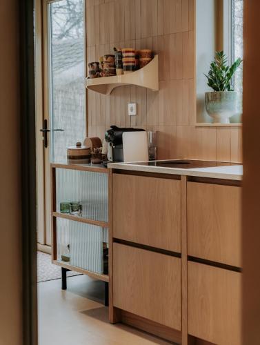 Design Lodge It Sluske Luxe Relax aan Water en Weilanden in Poppingawier